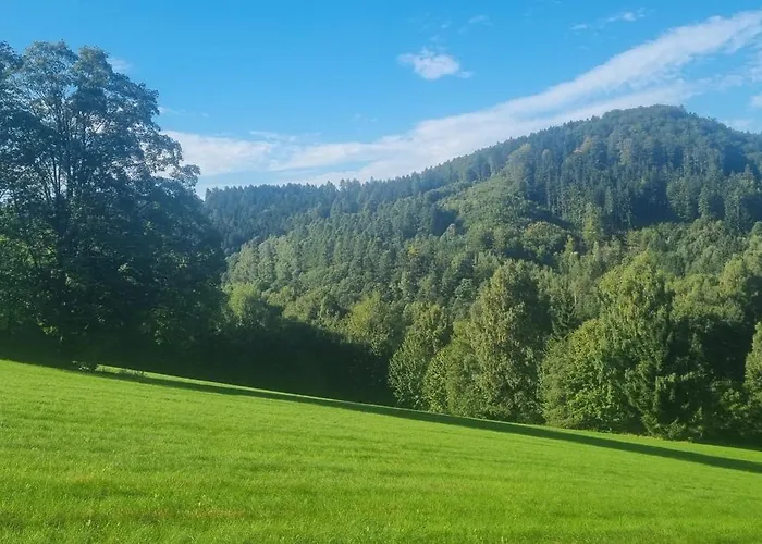 Rudoltická Myslivna Apartmán *